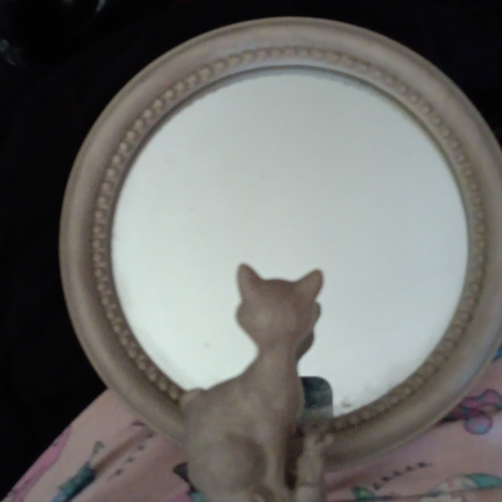 Mirror With Catvand Mouse